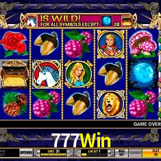 777Win Rio de Janeiro - Bonus Terms